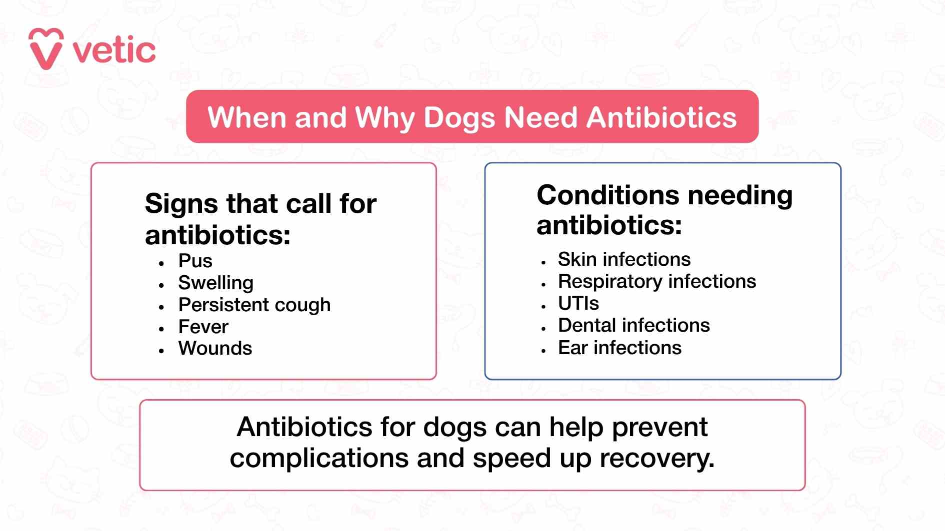 The graphic from Vetic titled “When and Why Dogs Need Antibiotics” is designed to educate pet owners on the clinical indicators and health conditions that typically warrant antibiotic treatment in dogs. The layout is clean and segmented into three distinct sections, making it easy to absorb at a glance. At the top center, a pink box draws attention to the main theme, clearly stating the purpose of the image. Just below, two categorized lists are presented side by side. The first list, labeled “Signs that call for antibiotics,” includes five symptoms: pus, swelling, persistent cough, fever, and wounds. These are visual or behavioral cues that pet parents can observe at home, and they serve as early warning signs of possible bacterial infections. Each symptom is presented in a bold, readable font, reinforcing the urgency of recognizing these changes in a dog’s health. The second list, titled “Conditions needing antibiotics,” outlines five common medical issues: skin infections, respiratory infections, urinary tract infections (UTIs), dental infections, and ear infections. These conditions are more diagnostic in nature and typically confirmed by a veterinarian. Their inclusion helps bridge the gap between what pet parents might notice and what a vet might diagnose. At the bottom of the graphic, a concluding statement reads, “Antibiotics for dogs can help prevent complications and speed up recovery.” This line reinforces the importance of timely treatment and positions antibiotics as a tool for healing rather than a casual remedy. The overall tone of the image is informative and reassuring, guiding pet parents to seek veterinary advice when symptoms align with the listed indicators.